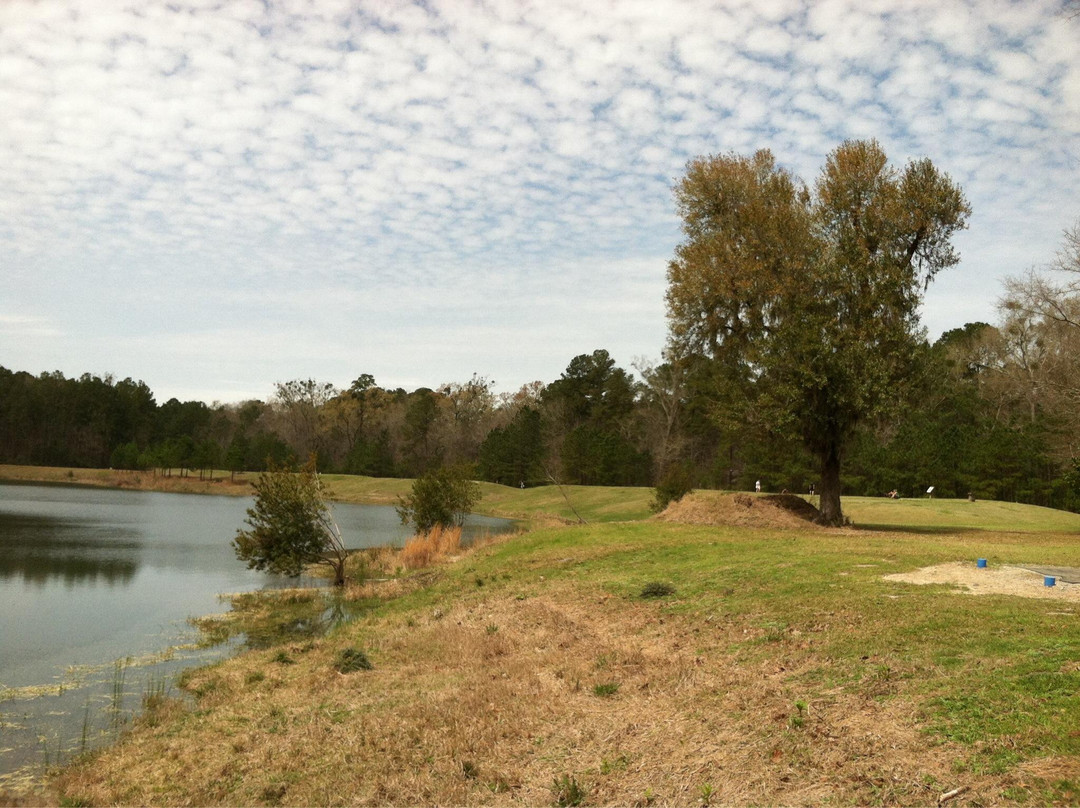Tom Triplett Community Park-普勒必去景点