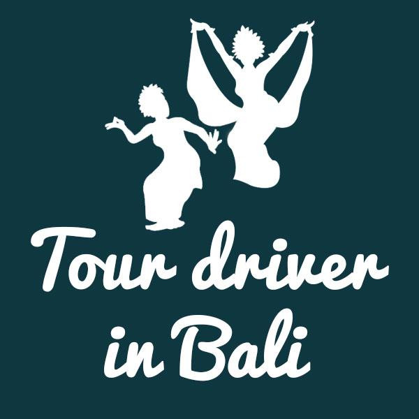 Tour driver in Bali - Day Tours-登巴萨必去景点