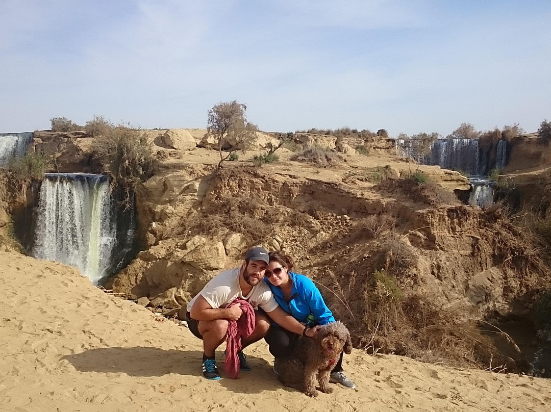 Desert Egypt Safari景点图片