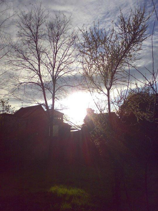 Parco Milcovich-帕多瓦必去景点