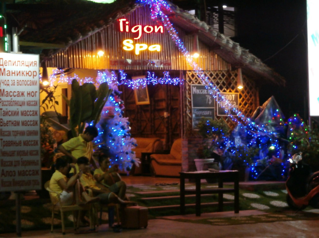 Ap Thien Son旅游景点-Tigon Spa