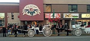 Horse Drawn Carriage Co., LLC景点图片