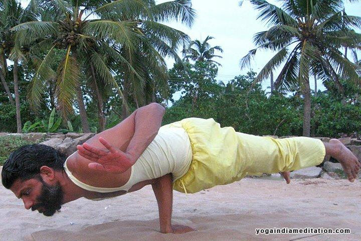 Aarsha Yoga Vidya Peetham - Day Classes景点图片