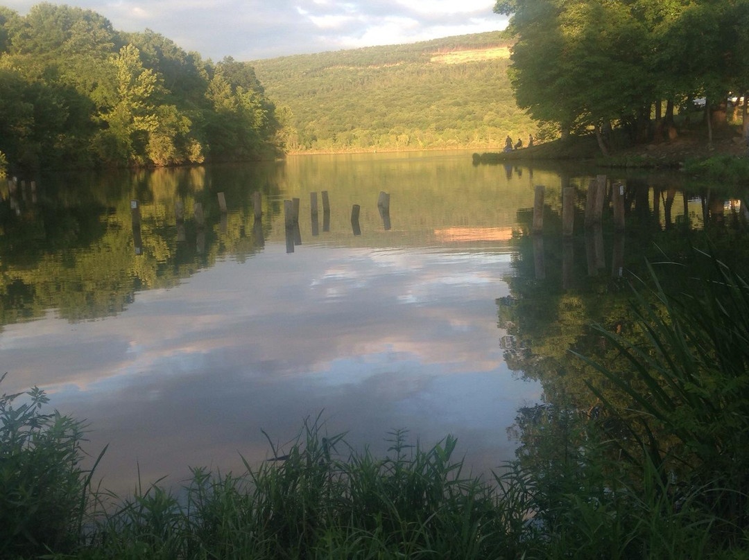 Bald Eagle State Park-Howard必去景点