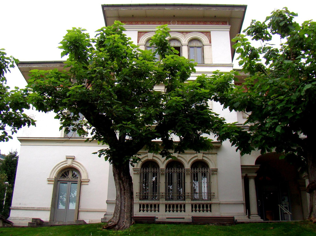 Musee Faure景点图片