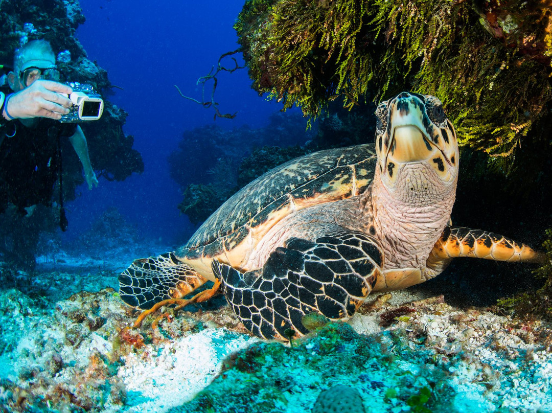 Santa Rosa Wall-考祖梅必去景点