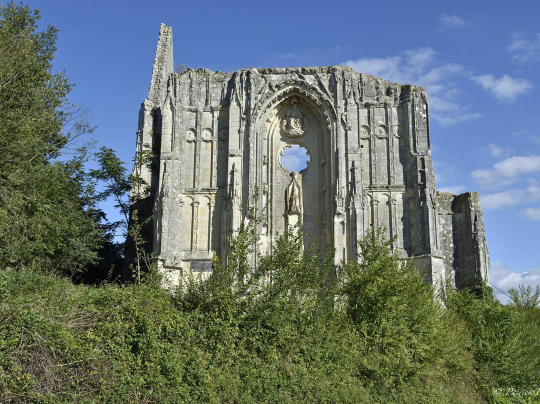 Ruines du Château Et De La Collégiale des Roches-Tranchelion景点图片