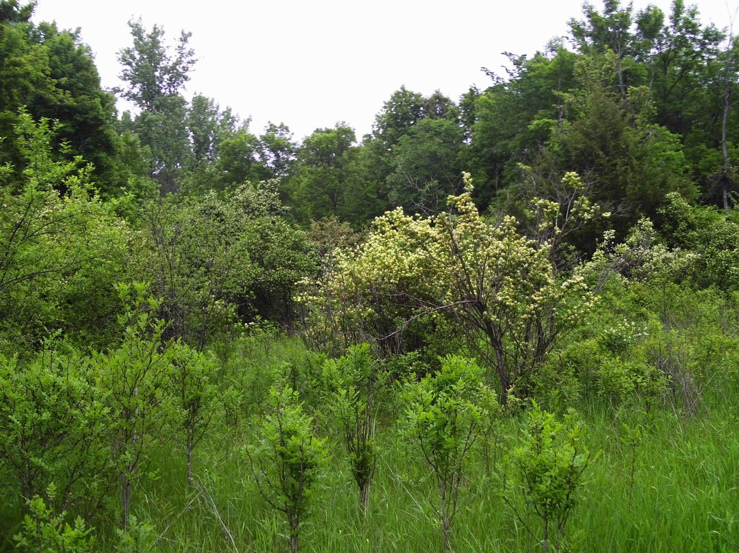 Hyland Lake Park Reserve-布卢明顿必去景点