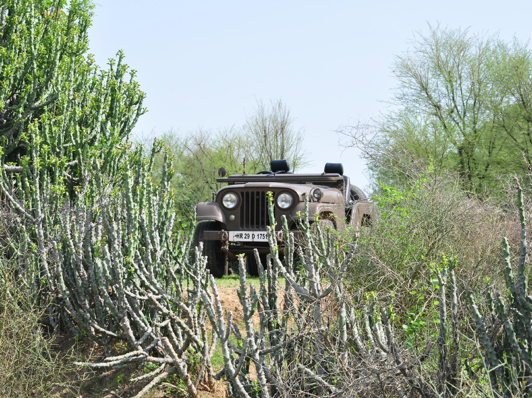 Ganga Trails-斋蒲尔必去景点