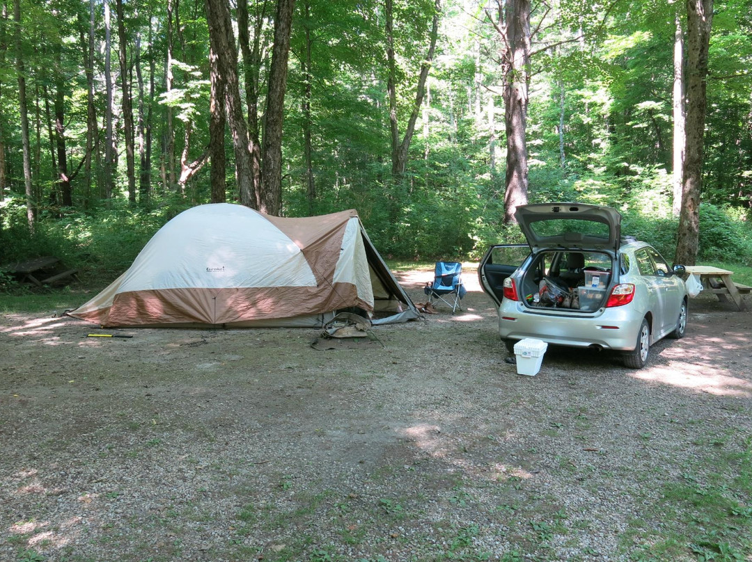 Mt. Greylock Campsite Park