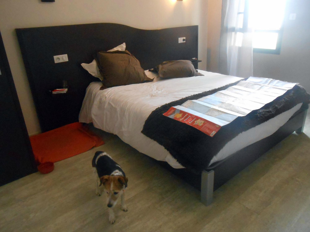 Hotel des Arts主图