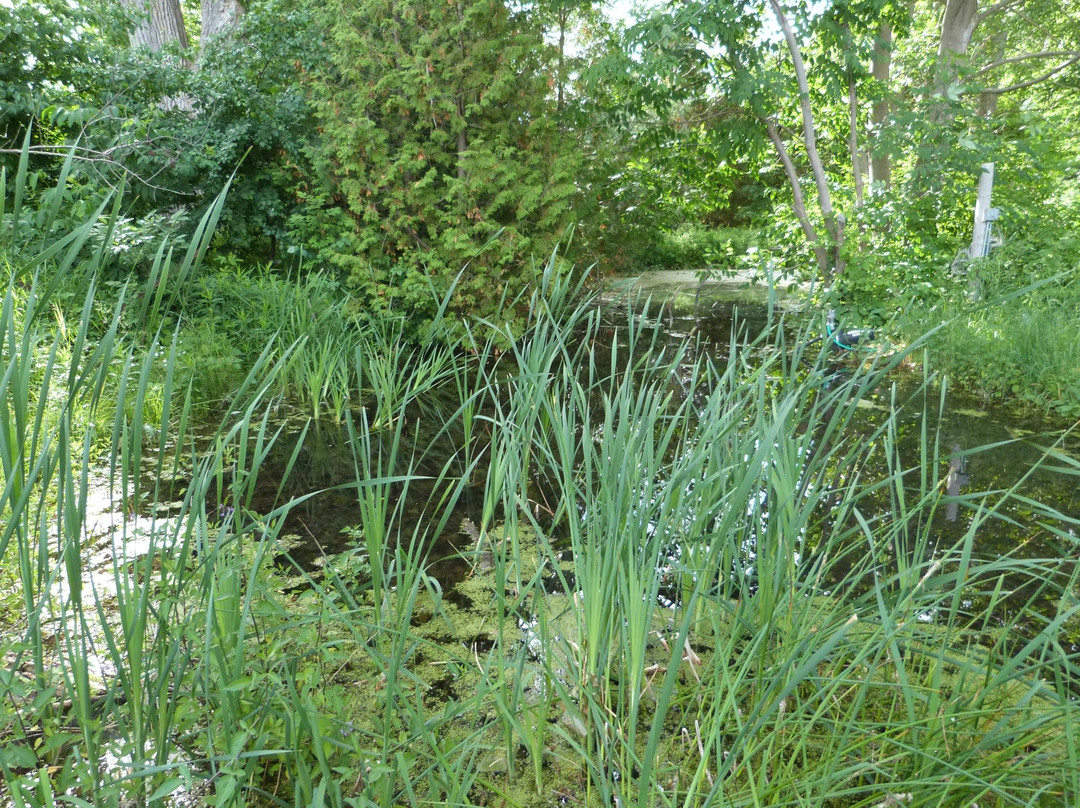 Sturgeon River Pottery景点图片