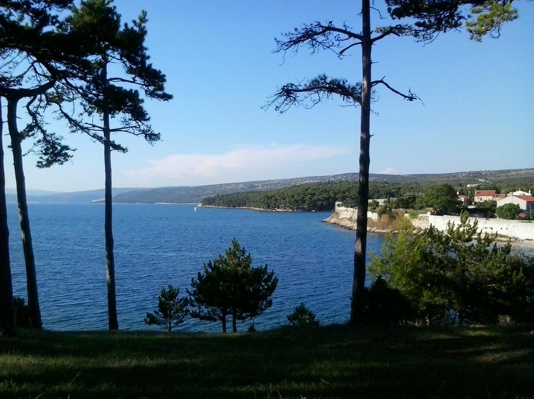 Camping Preko Mosta