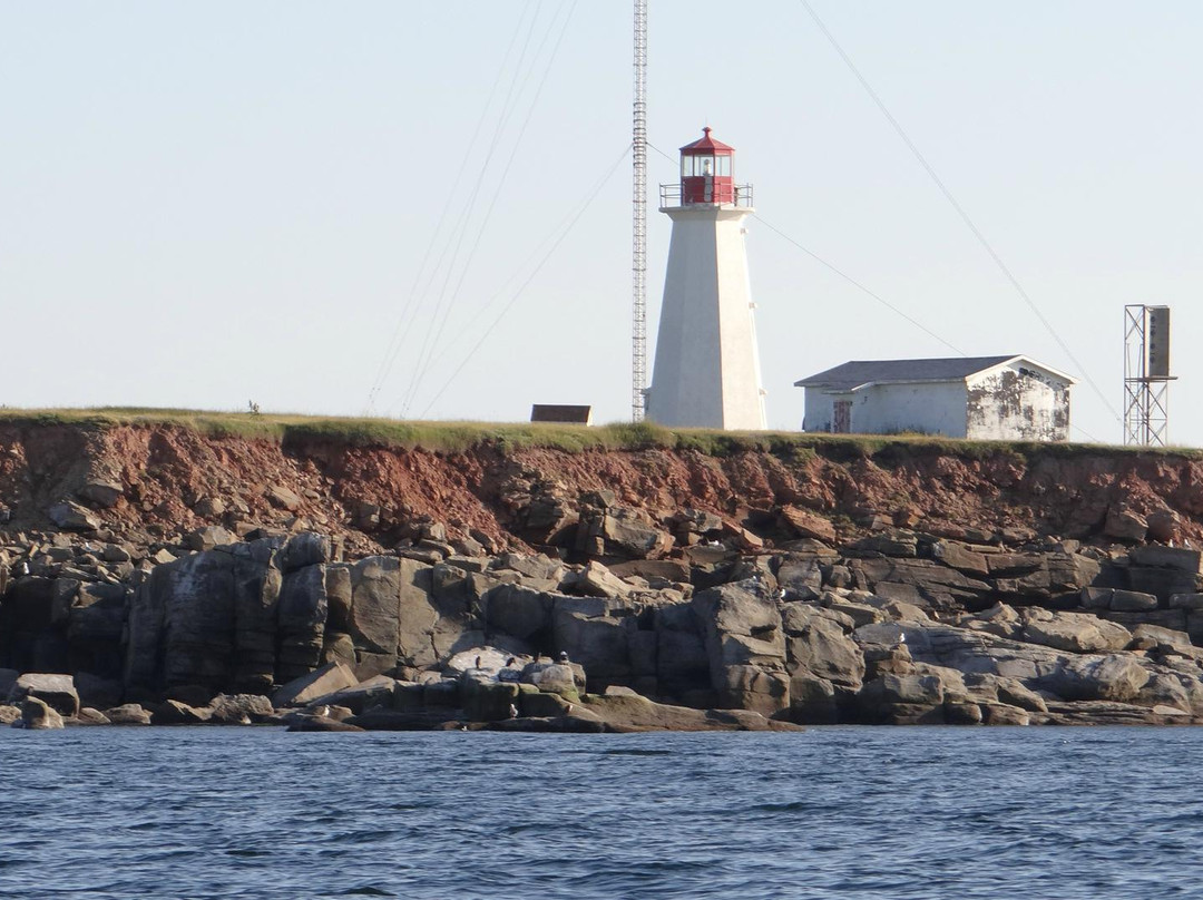Whale Cruisers-Cheticamp必去景点