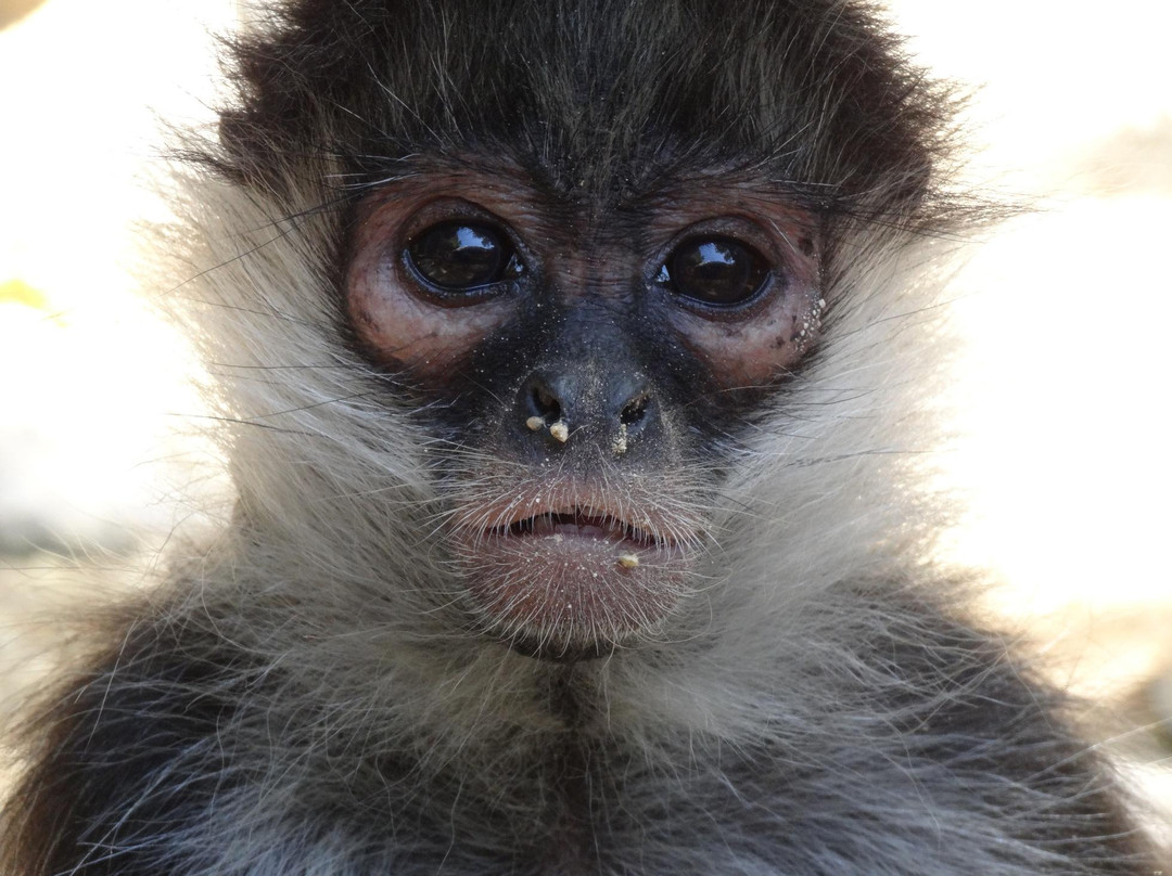 Cenote Aktun Chen-艾库玛尔必去景点