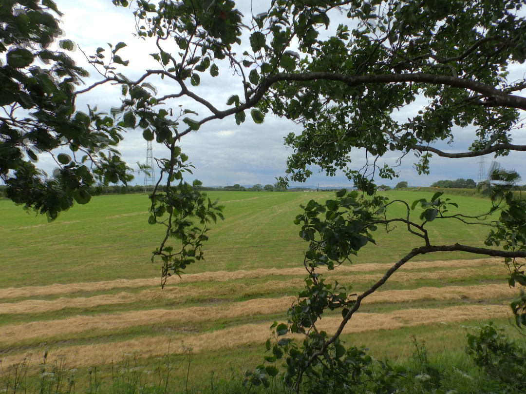 The Glen Guest House主图