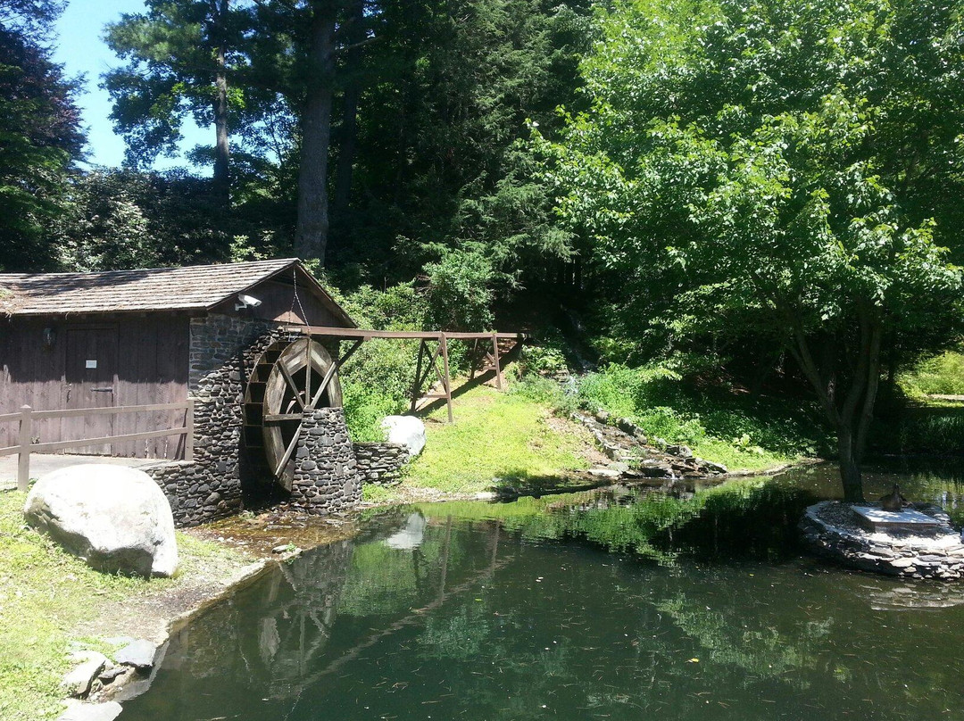 Stanley Park-Westfield必去景点