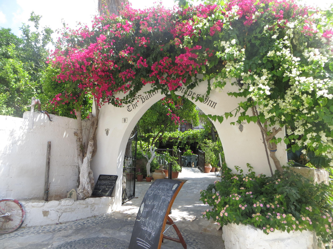 Bunch of Grapes Inn Hotel主图