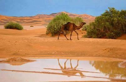 Excellent Tours-瓦尔扎扎特必去景点