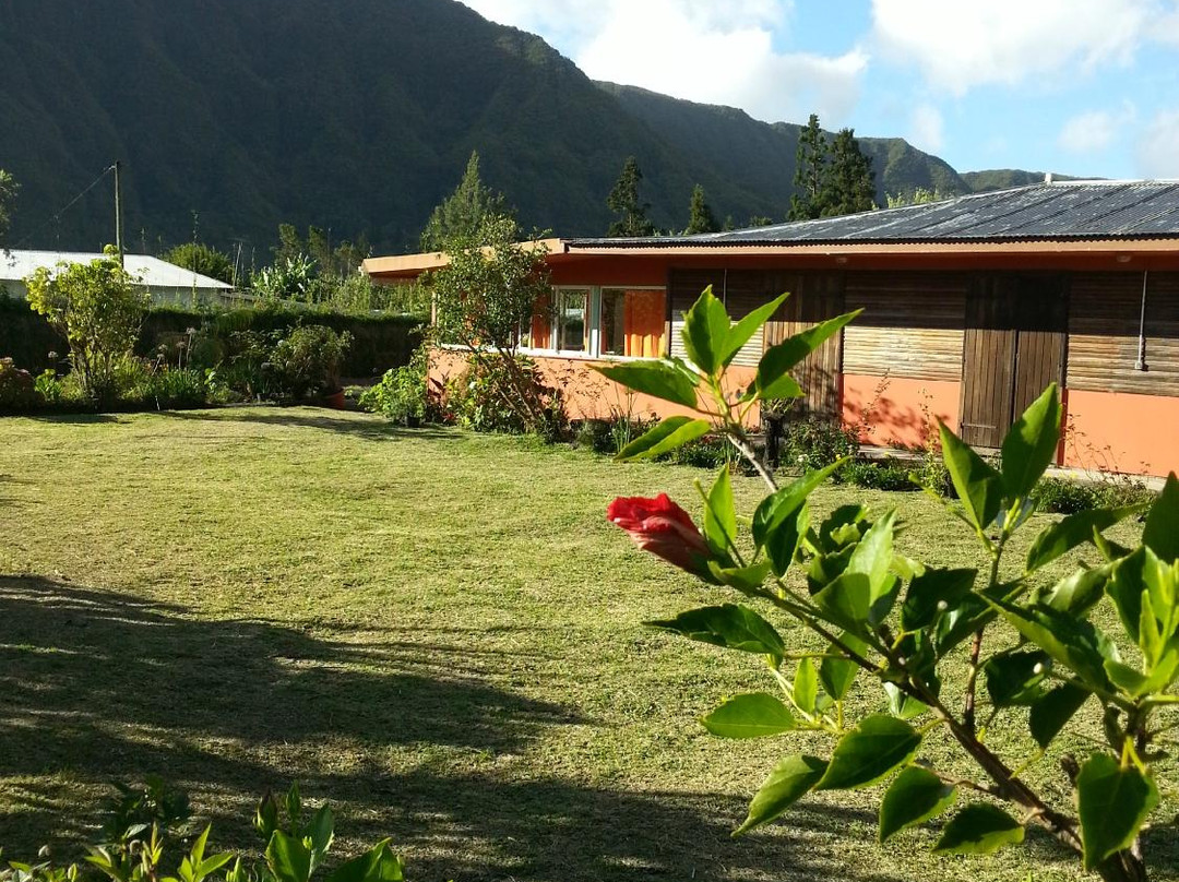 Le Clos des Mimosas主图