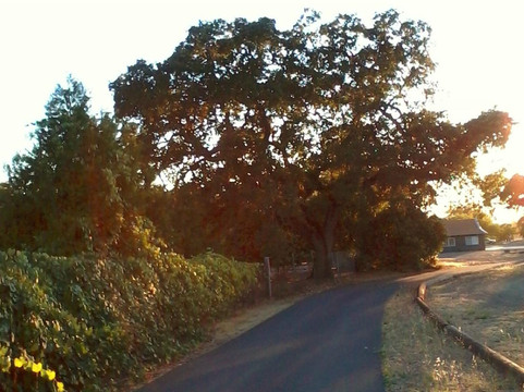 Skyline Wilderness Park主图