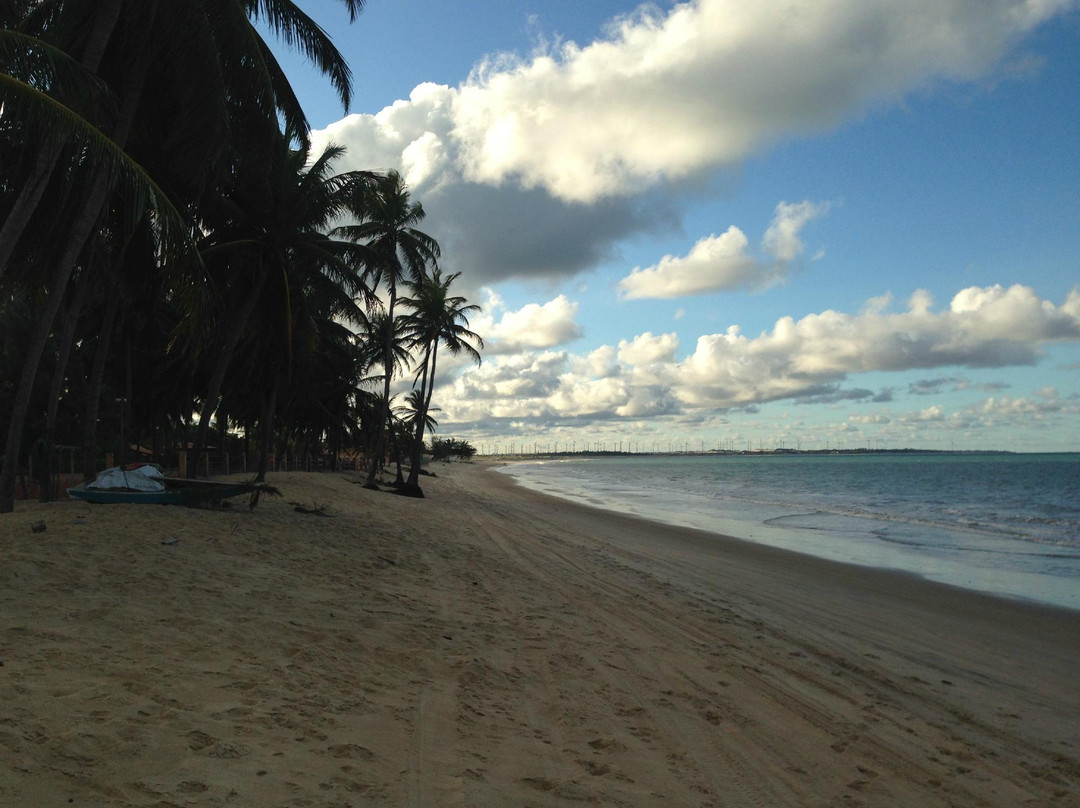 Pititinga Beach景点图片