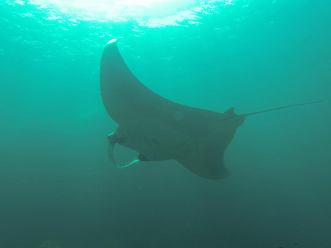 GoDive浮潜-兰塔岛必去景点