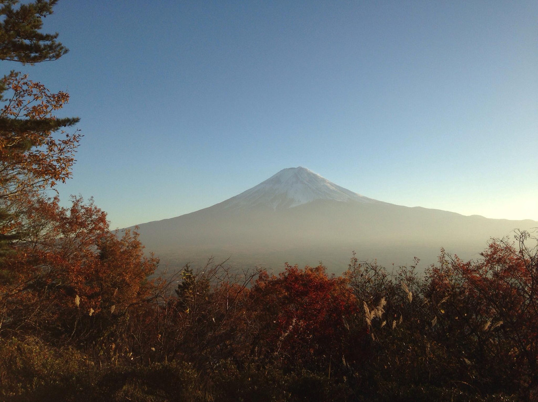 河口湖天上山公园Kachikachi山缆车景点图片
