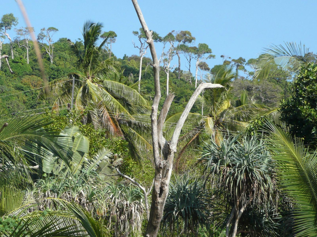 Bamboo Beach Had Mai Phai-兰塔岛必去景点