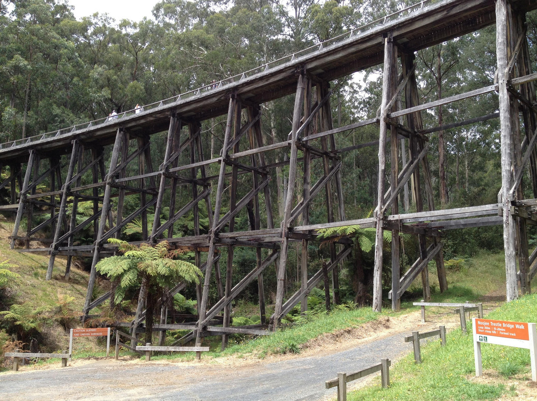 Noojee Trestle Bridge景点图片