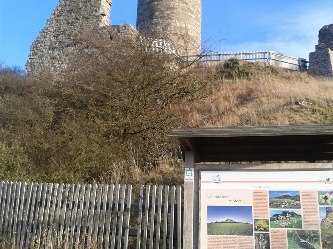 Burg Desenberg-Warburg必去景点