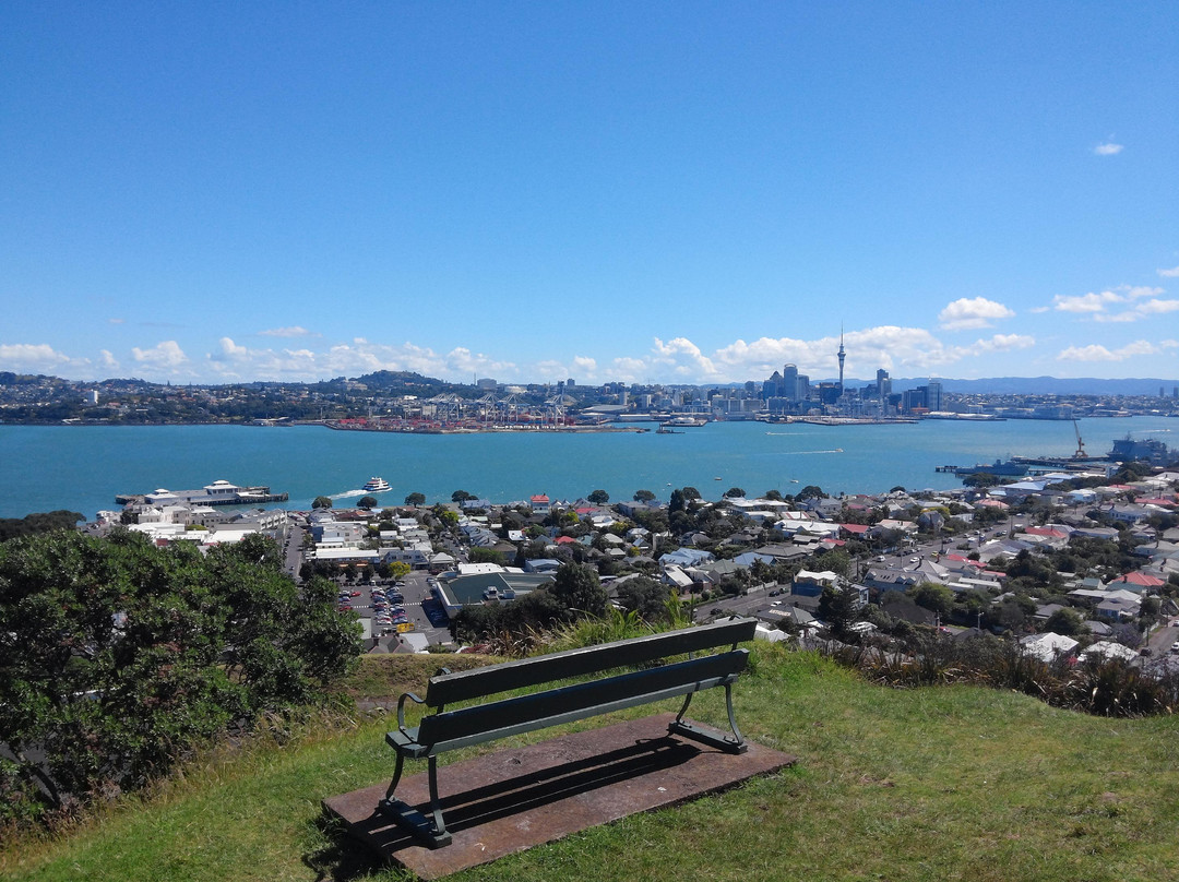 Mount Victoria Reserve-德文波特必去景点