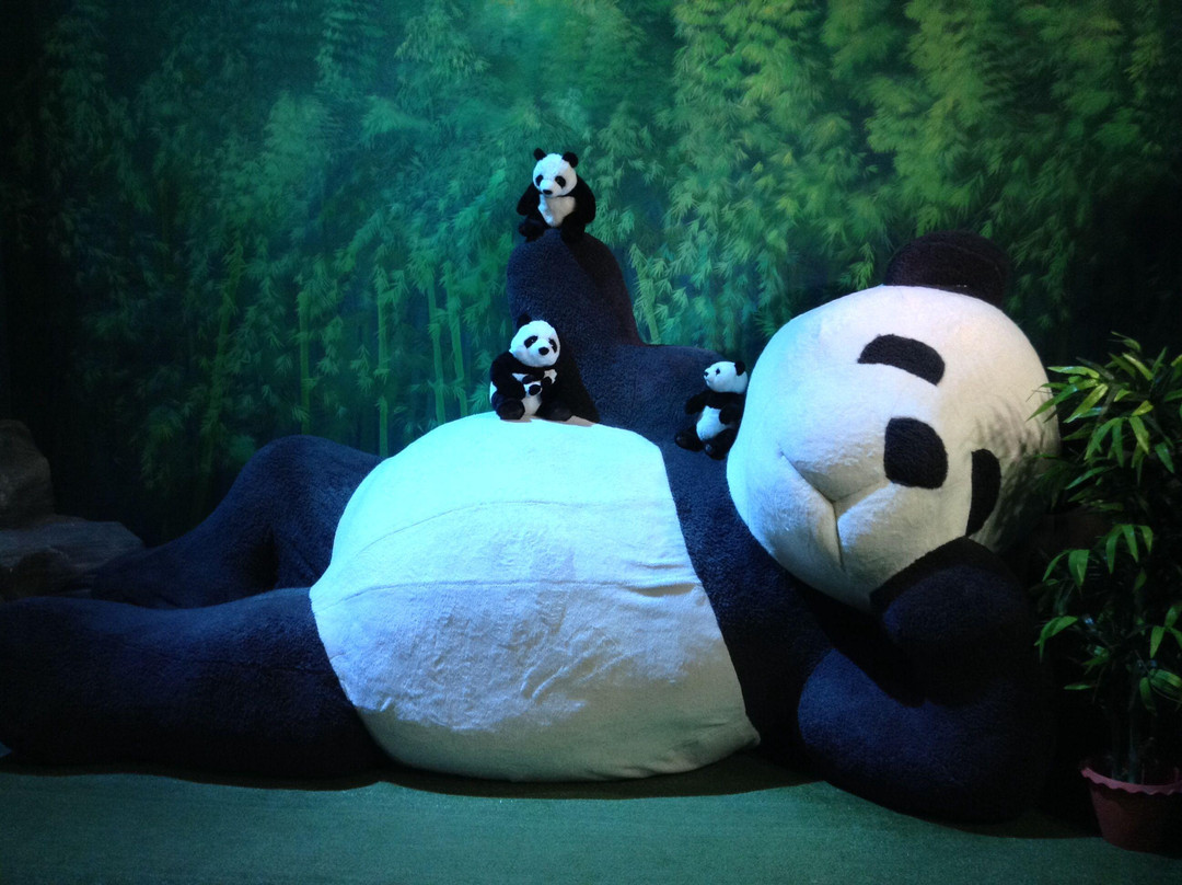 泰迪熊博物馆-芭堤雅必去景点