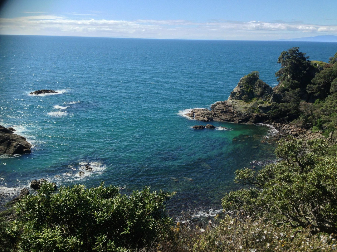 蒂利蒂利马唐伊岛-奥克兰中心地区必去景点