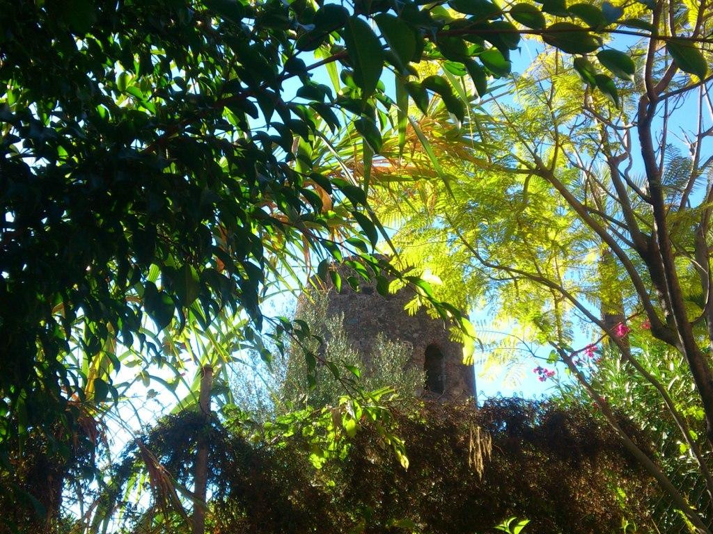 Torre del Padron景点图片