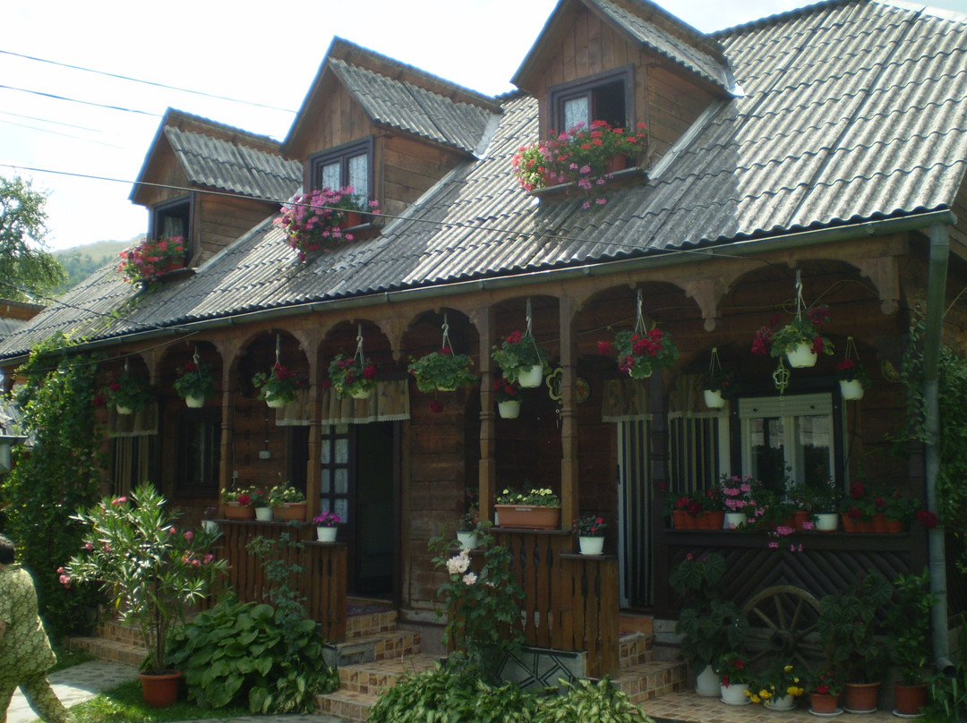 Agriturismo Petreus Irina主图