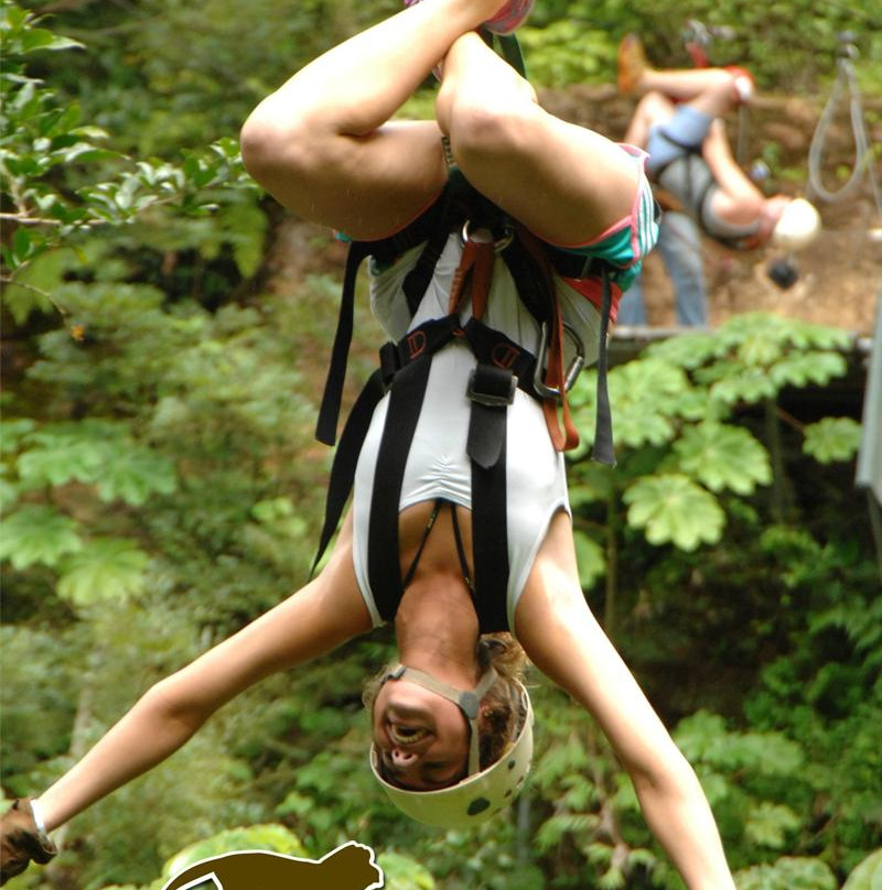 Costa Rica Monkey Tours -  Day Tours景点图片