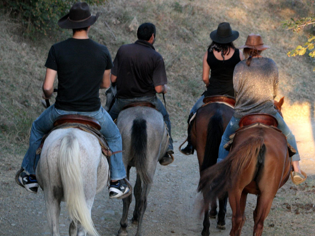 Living Roots Horse Ranch (Lost Ridge Ranch)景点图片