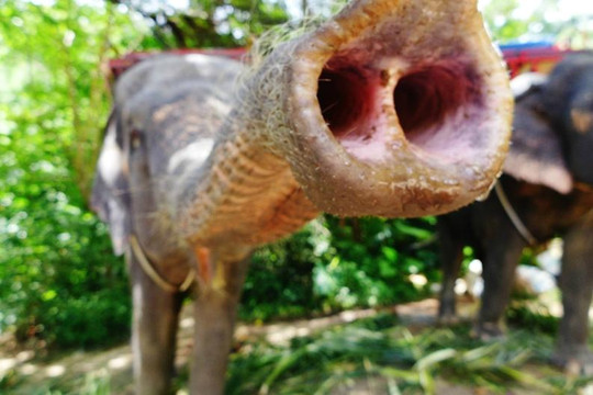 南门瀑布-苏梅岛必去景点