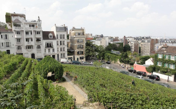 蒙马特尔博物馆-巴黎必去景点