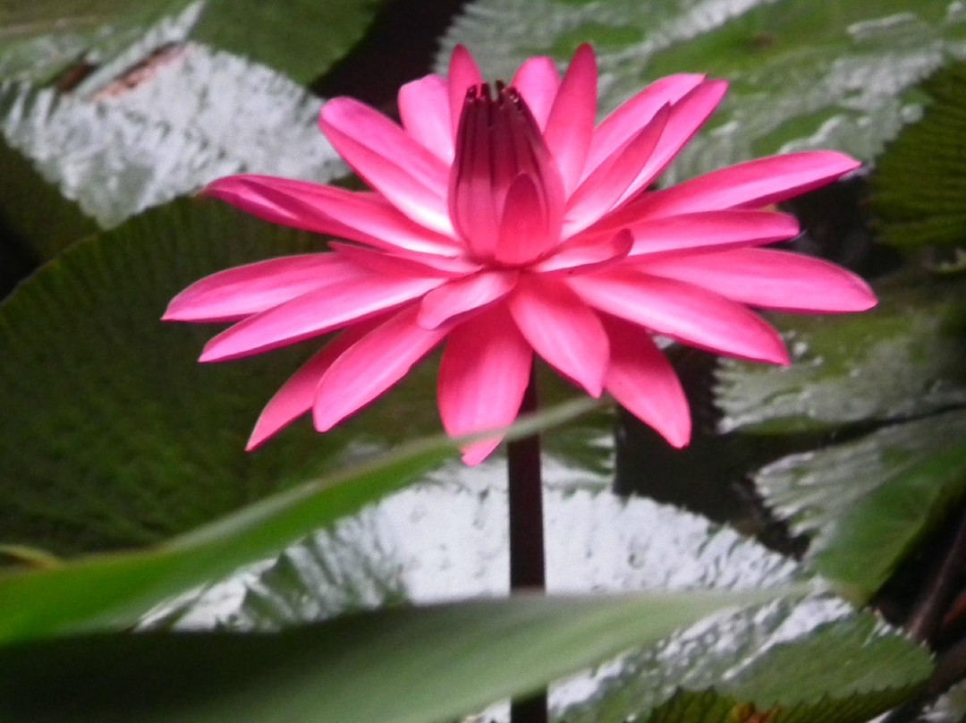 踏缤野生动物保护区-拉哈达图必去景点