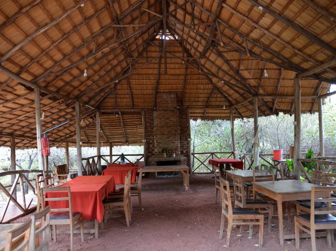 Haven Nature Camp and Lodge