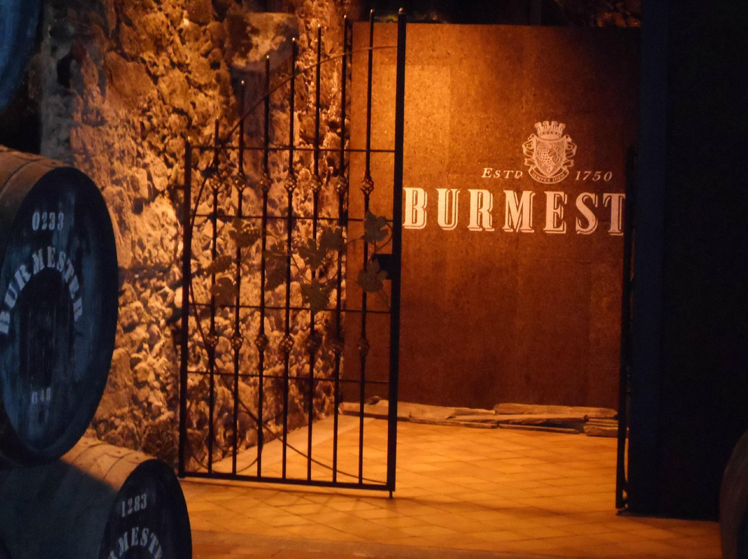 Burmester-加亚新城必去景点