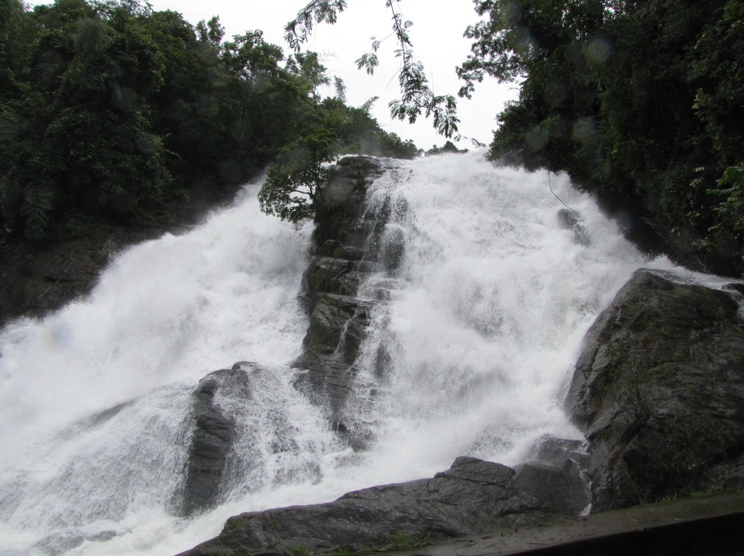 Charpa Waterfall景点图片