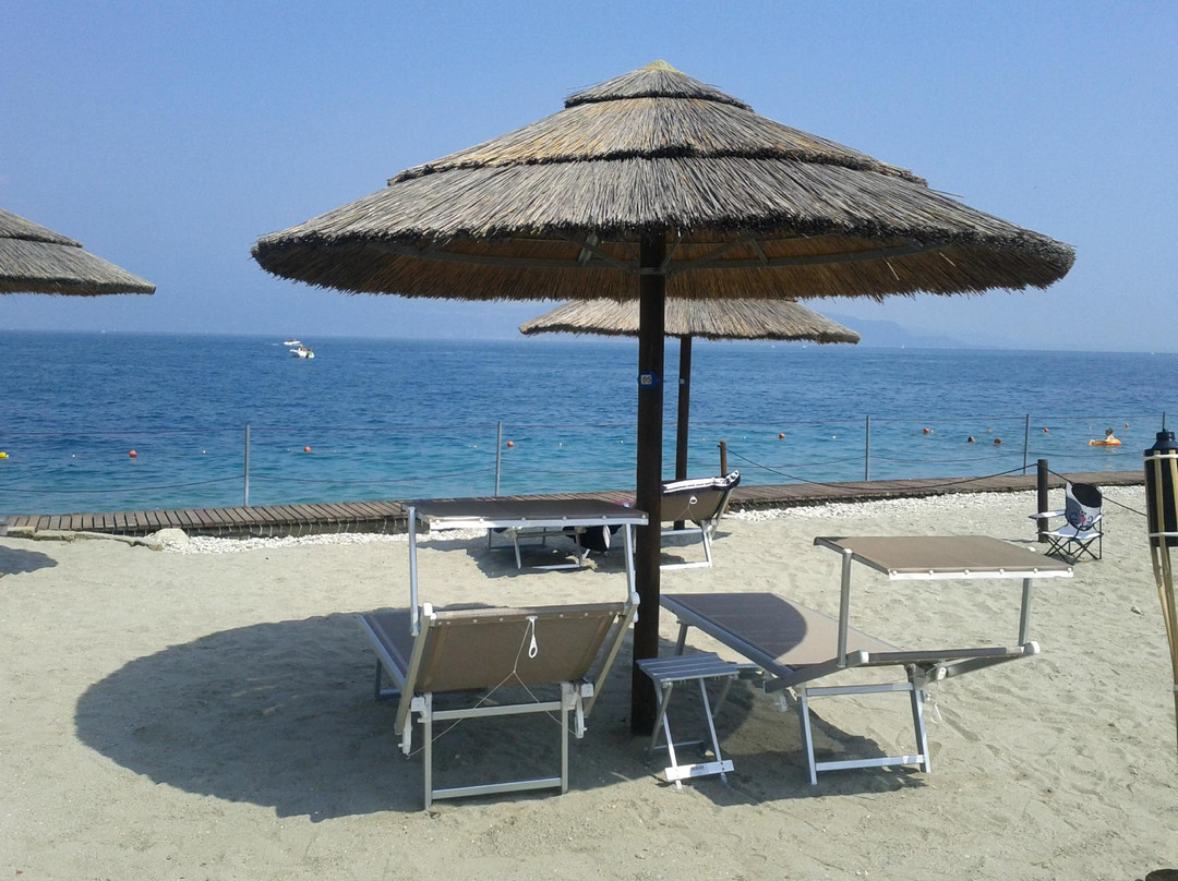 Parco Avventura Rimbalzello Adventure景点图片