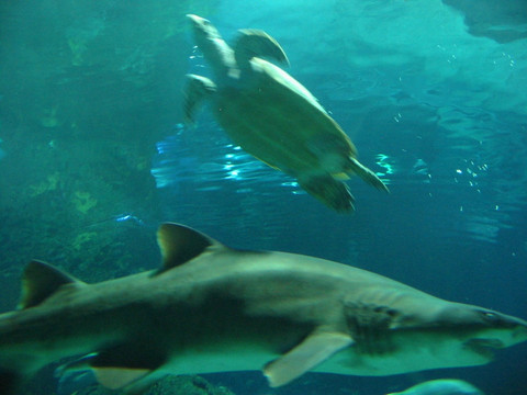 长风公园-上海市必去景点