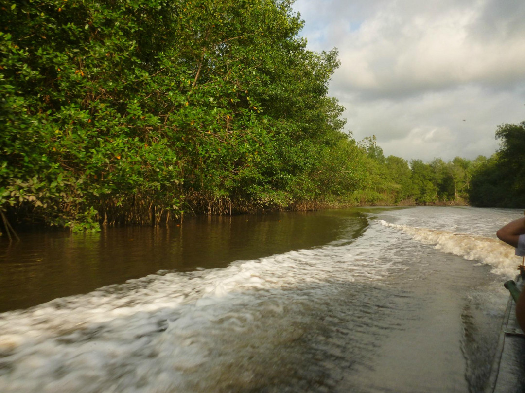 San Andres de Tumaco旅游攻略图片