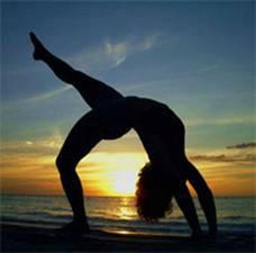 Sanibel Wellness - Fort Myers Acupuncture & Massage-迈尔斯堡必去景点