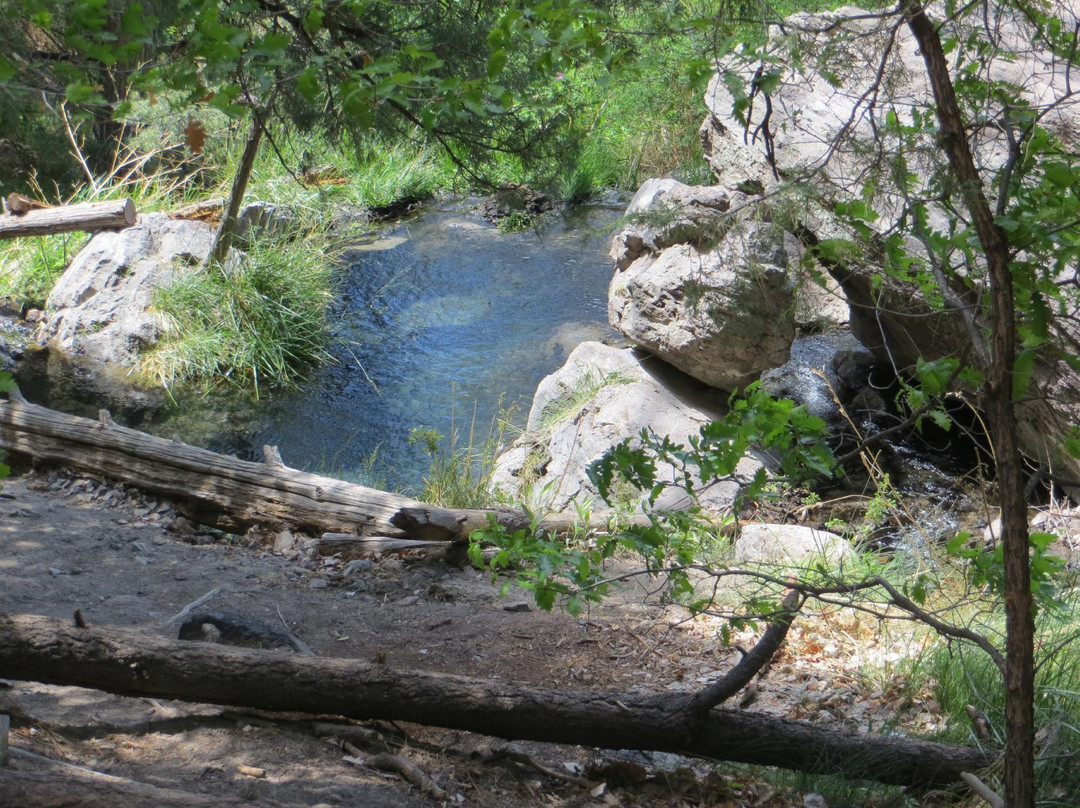 McCauley Warm Springs-Jemez Springs必去景点