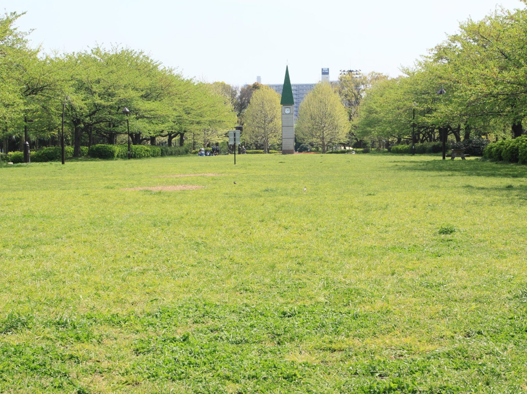 Sarue Onshi Park-江东区必去景点